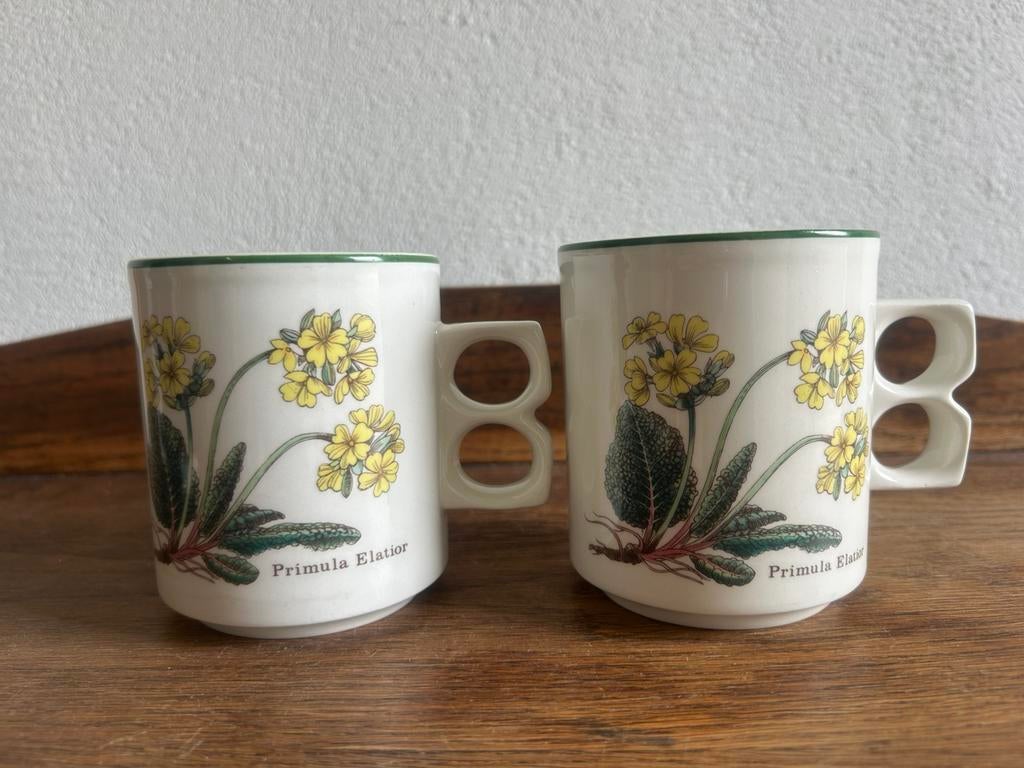 2 Florabunda Enoch Wedgwood Tunstall mokken Primula p/2:, Ophalen of Verzenden, Zo goed als nieuw, Porselein, Kop en/of schotel