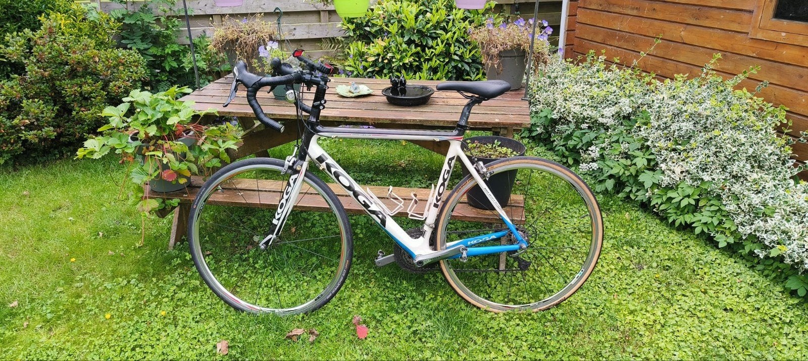 Koga racefiets - Wit/Blauw - In zeer goede staat, Fietsen en Brommers, Fietsen | Racefietsen, Overige merken, 28 inch, Carbon