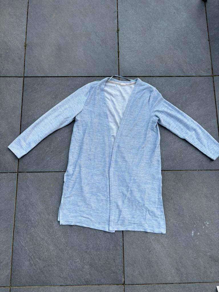 mooi lichtblauw Taifun vest maat xl, Ophalen of Verzenden, Zo goed als nieuw, Maat 46/48 (XL) of groter, Blauw