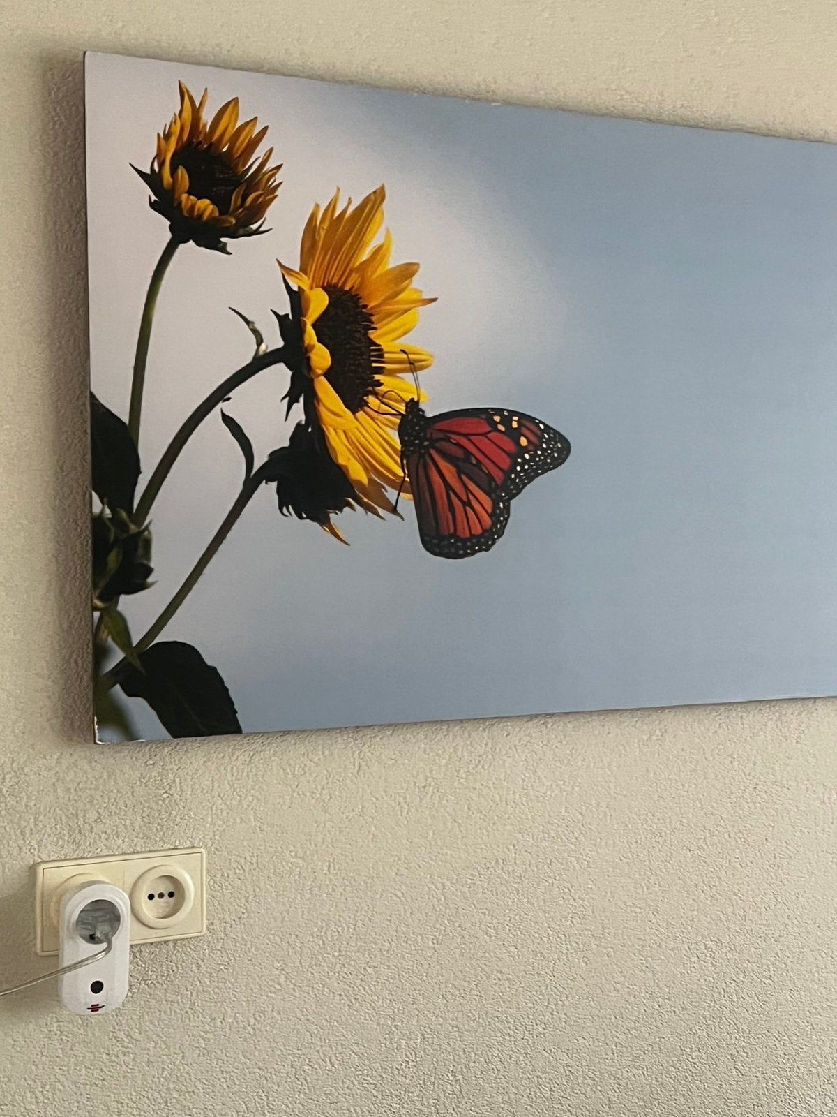 Schilderij voor binnen op hardboard, Ophalen