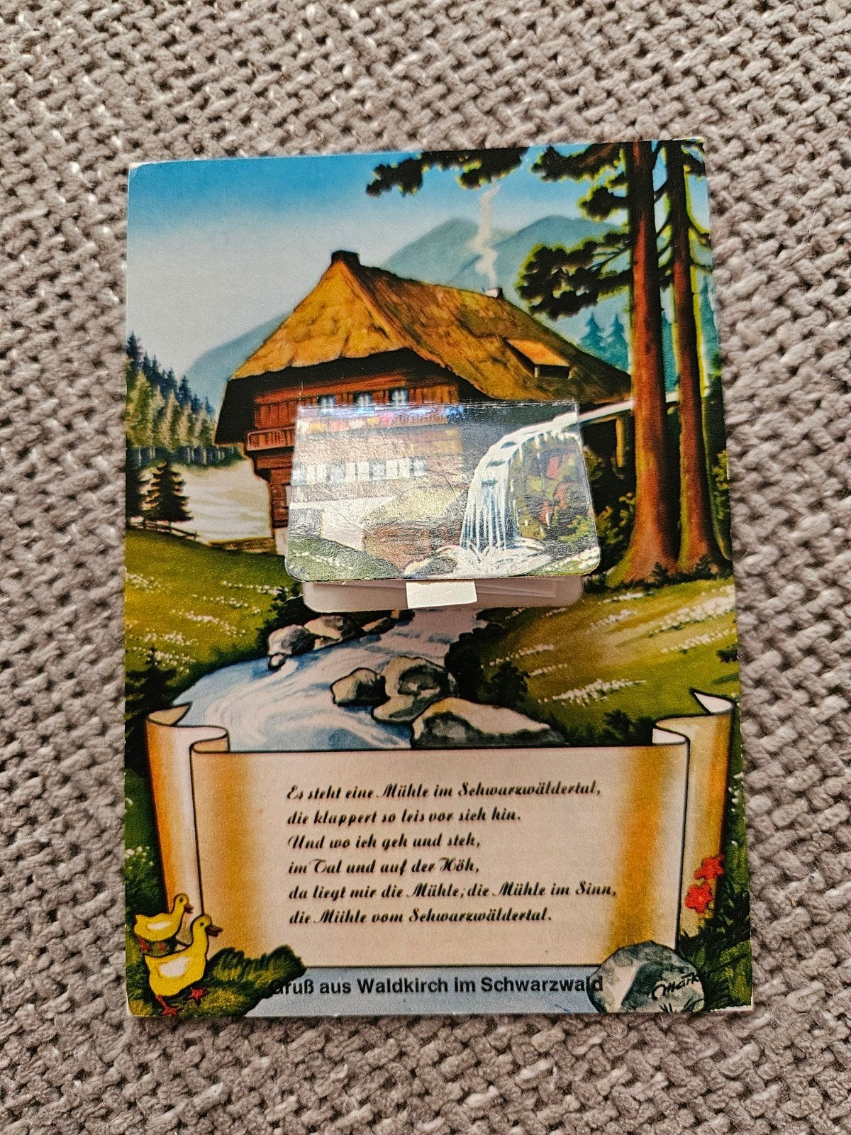 Schwarzwald leporello, Ophalen of Verzenden, Voor 1920, Gelopen, Duitsland
