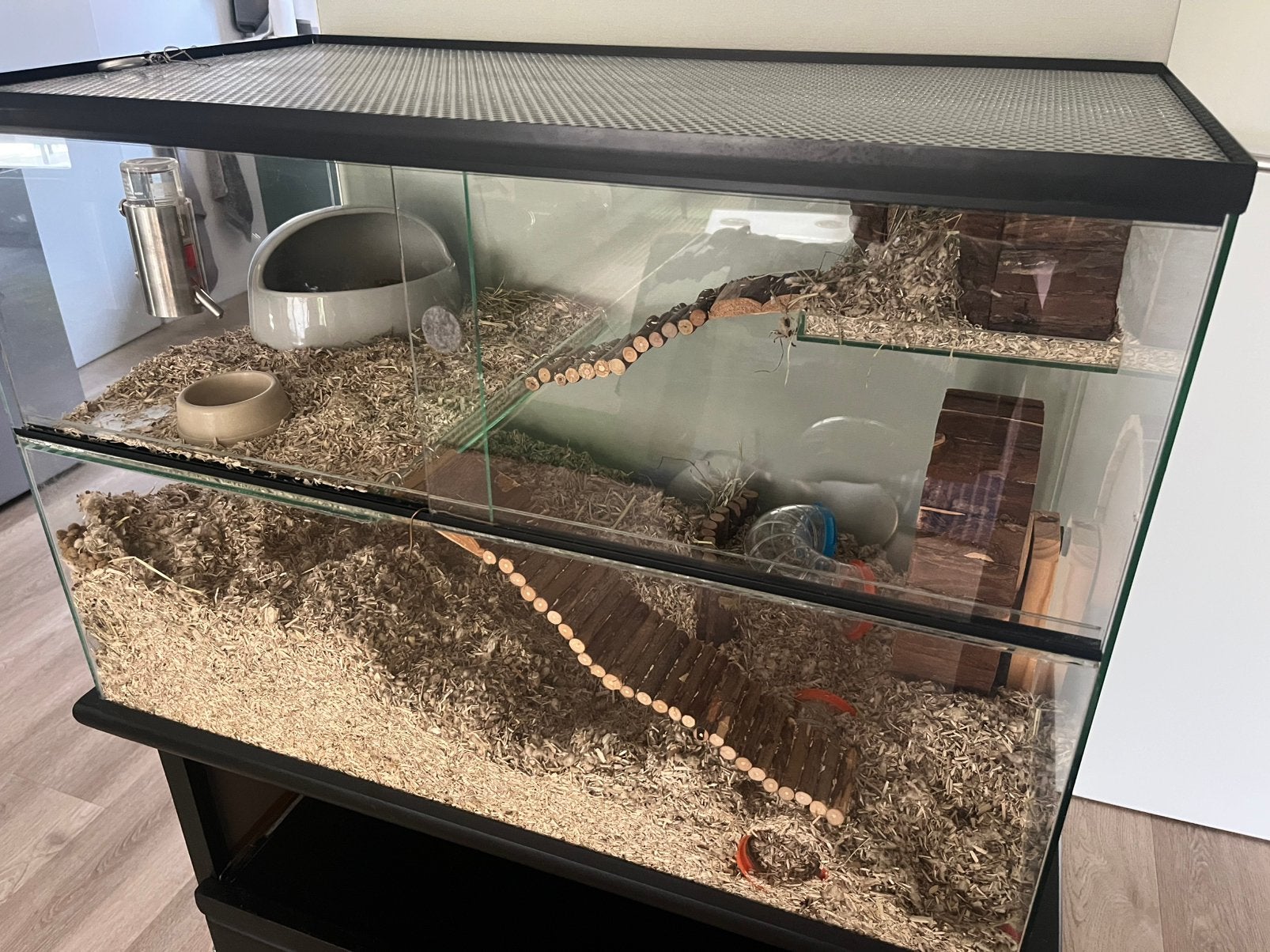 Hamster Gerbil kooi terrarium glas  73,5x40x50 ZEER COMPLEET, Dieren en Toebehoren, Knaagdieren en Konijnen | Hokken en Kooien