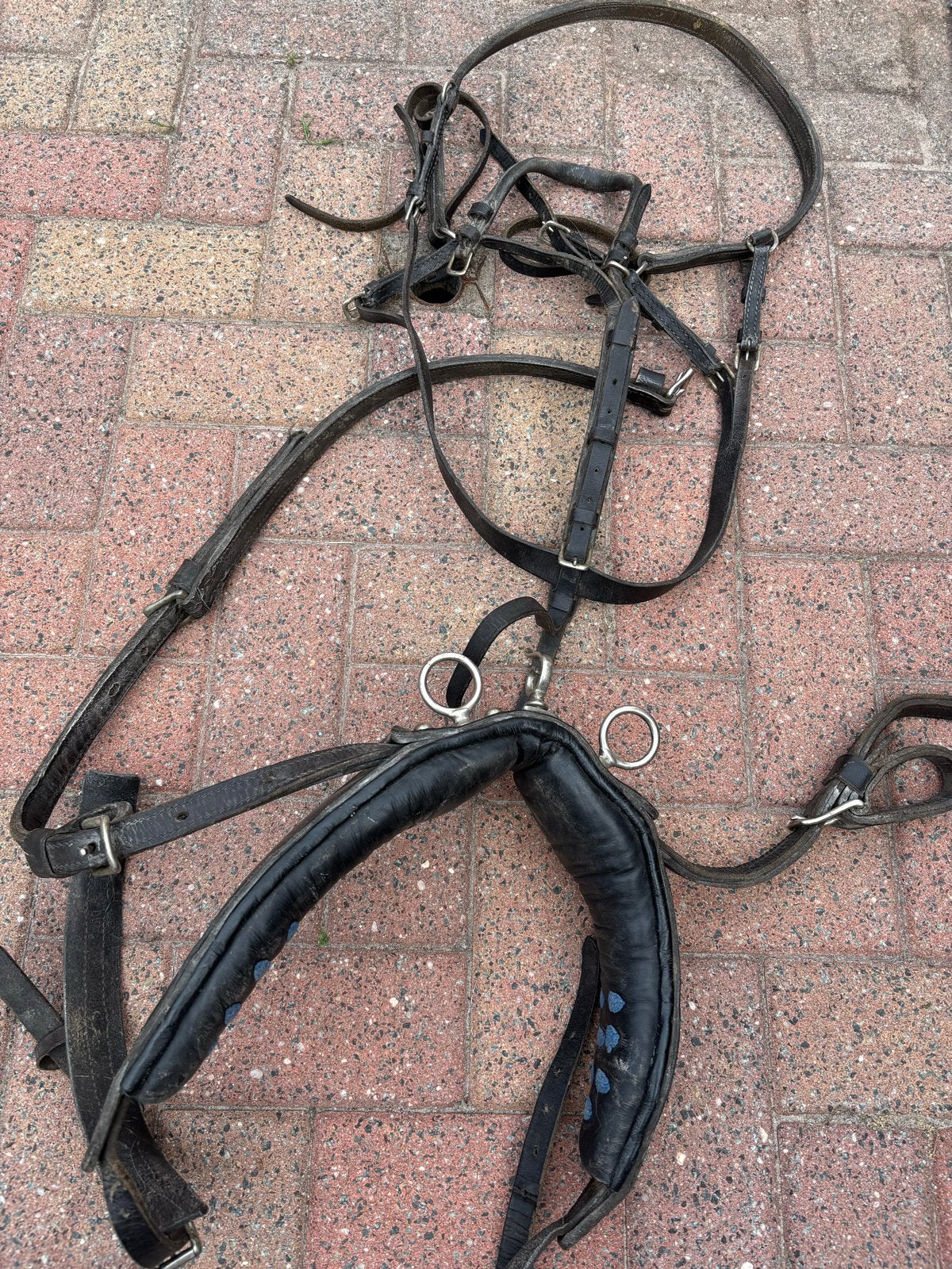 Shetlander mentuig, Dieren en Toebehoren, Paarden en Pony's | Hoofdstellen en Tuigage, Ophalen, Mentuig, Shetlander
