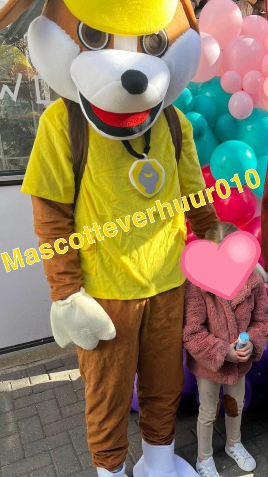 Paw Patrol Rubble mascotte te huur, Ophalen, Zo goed als nieuw, Verjaardag