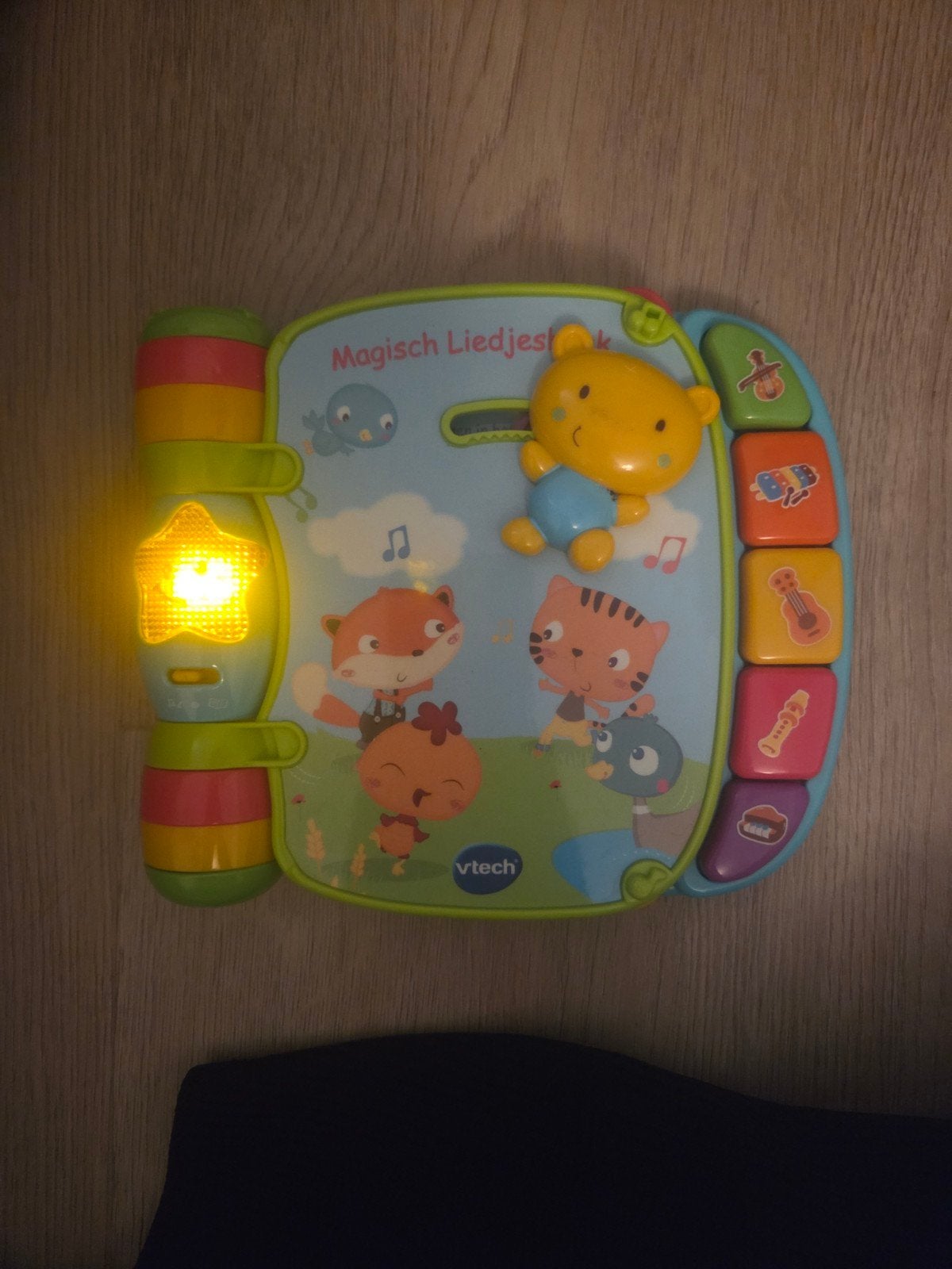VTech Magisch Liedjesboek met licht en geluid, Ophalen, Zo goed als nieuw, Overige typen, Met licht
