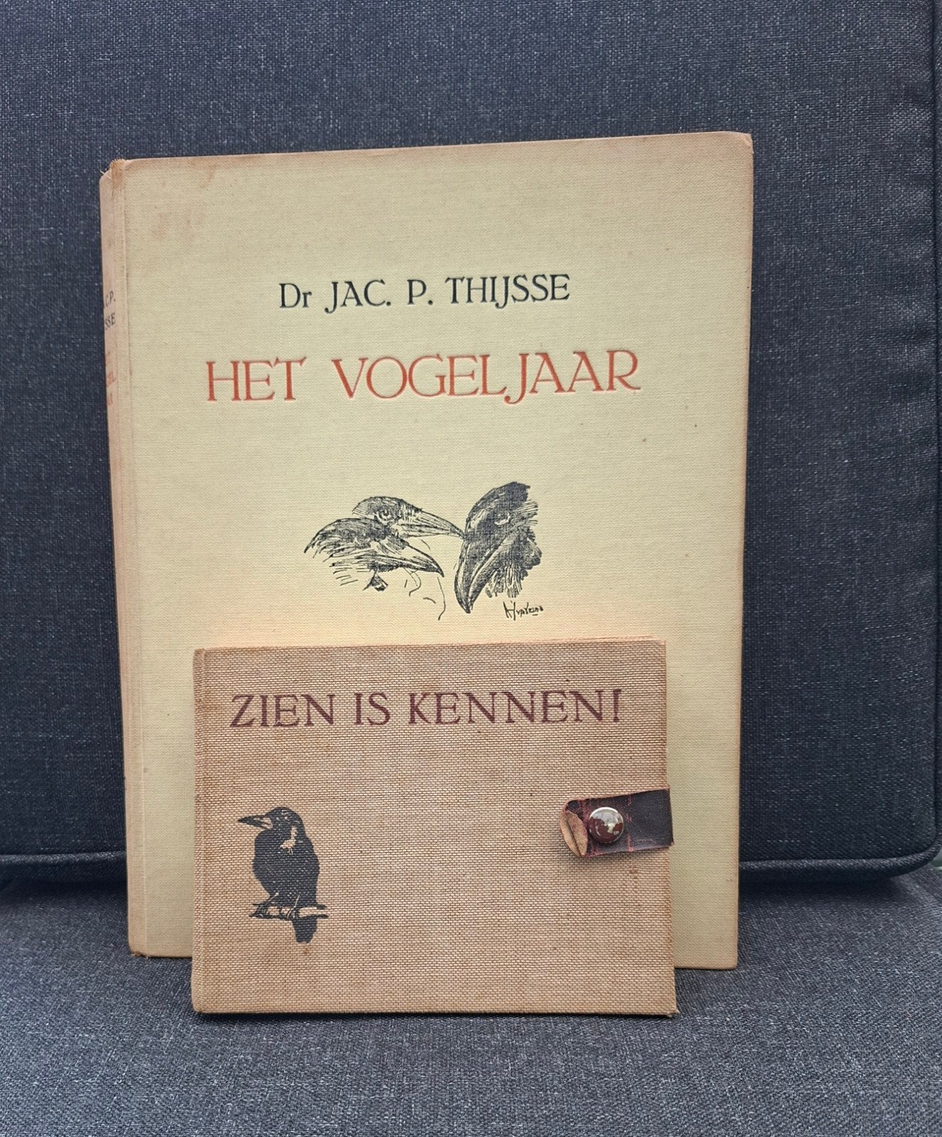 Dr. Jac. P. Thijsse-Het vogeljaar & Zien is kennen!-veldgids, Ophalen of Verzenden, Gelezen, Vogels, Dr. Jac. P. Thijsse