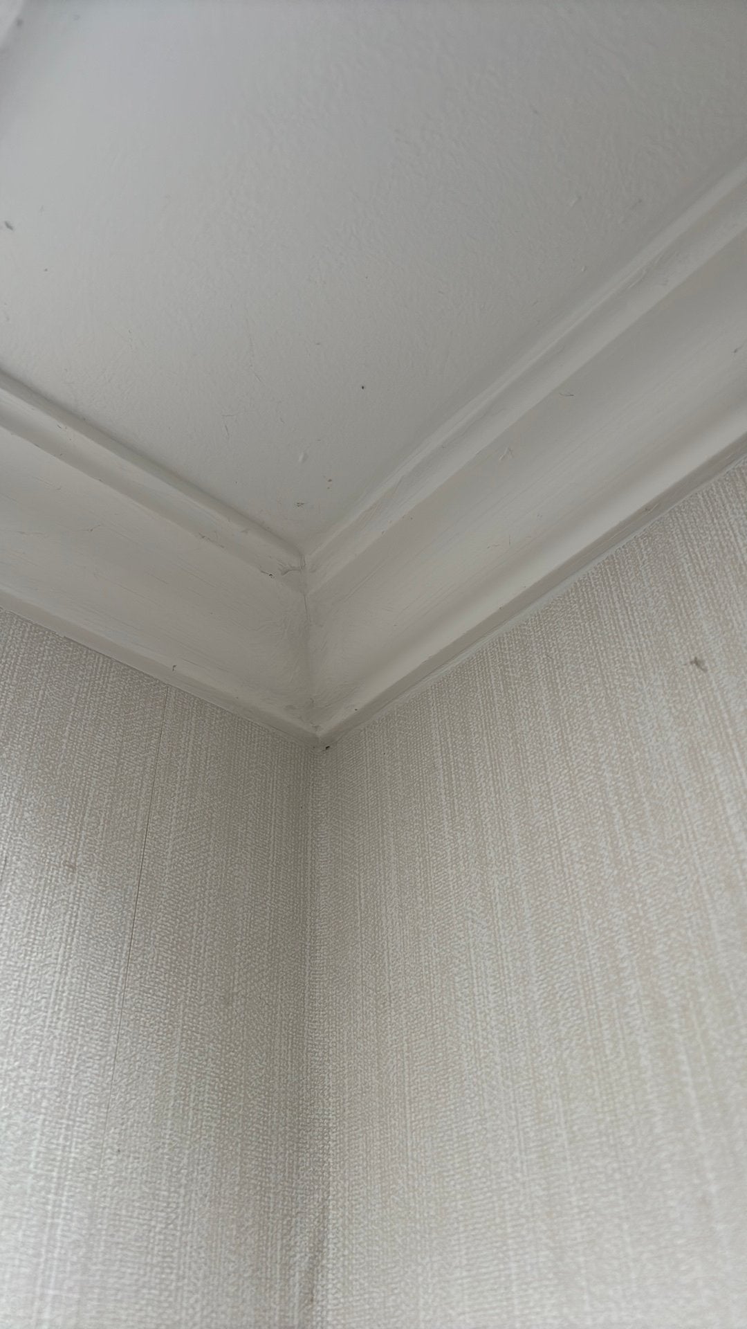Decoflair sierlijst, Ophalen, Nieuw, Kunststof, Plinten