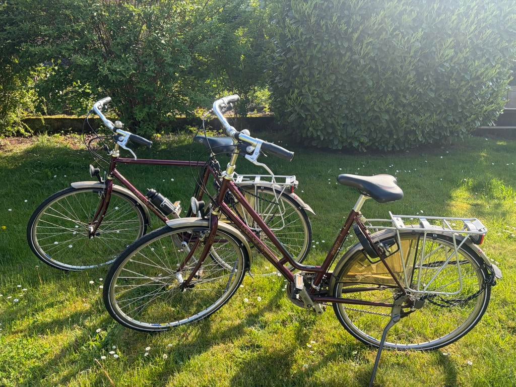 Fietsen, Fietsen en Brommers, Fietsen | Dames | Sportfietsen en Toerfietsen, Minder dan 10 versnellingen, Gebruikt, Overige maten