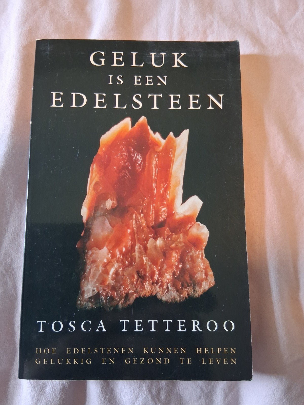 Geluk is een Edelsteen - Tosca Tetteroo, Boeken, Ophalen of Verzenden