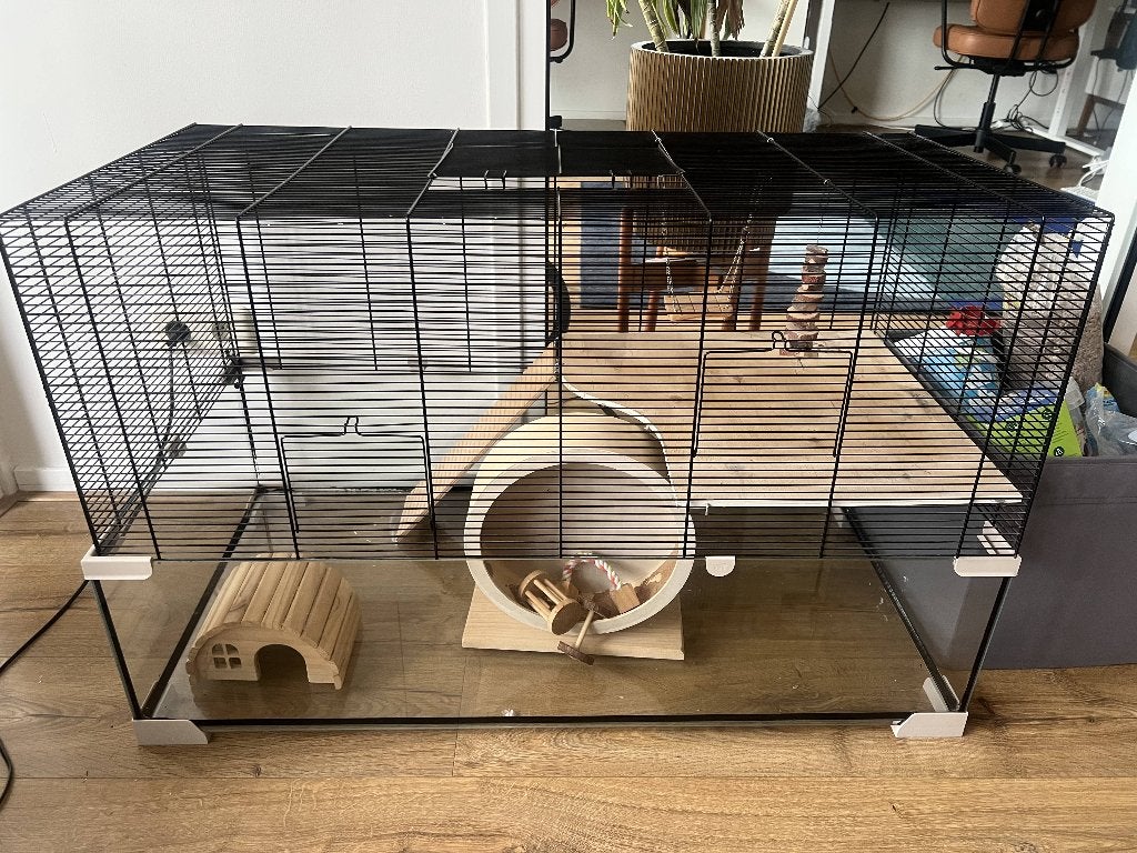 Hamster Cage + Accessories €75, Dieren en Toebehoren, Hamster, Mannelijk, Januari, Tam