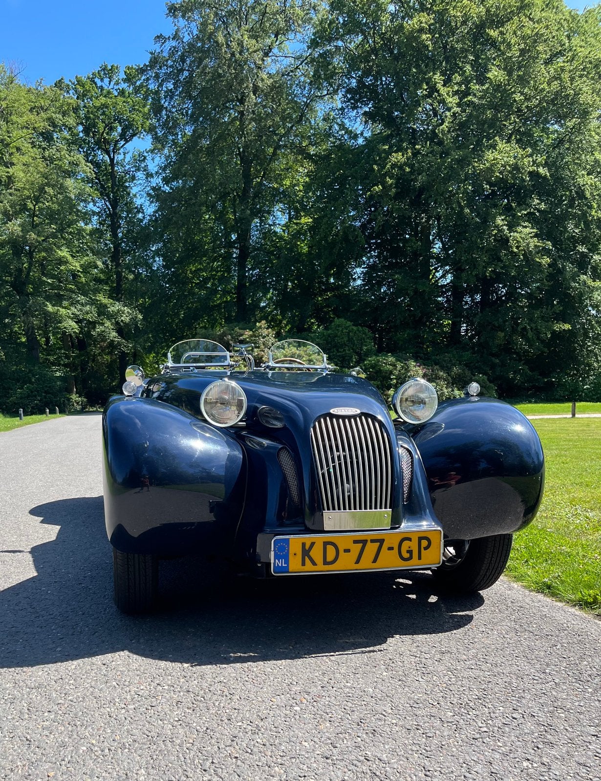 Burton 2CV, Voorwielaandrijving, 602 cc, Cabriolet, Blauw