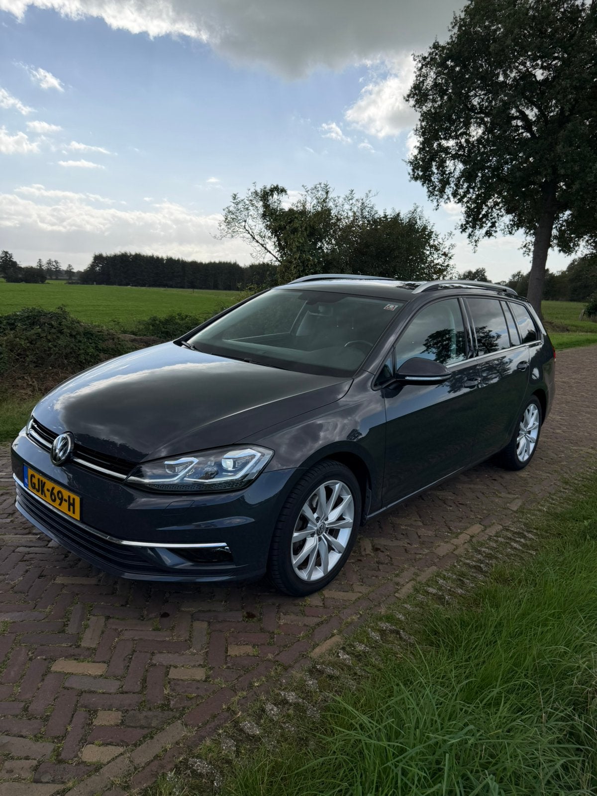 Volkswagen Golf Variant 1.5 TSI 150pk 2019 Grijs, Voorwielaandrijving, 4 cilinders, Stationwagon, Handgeschakeld