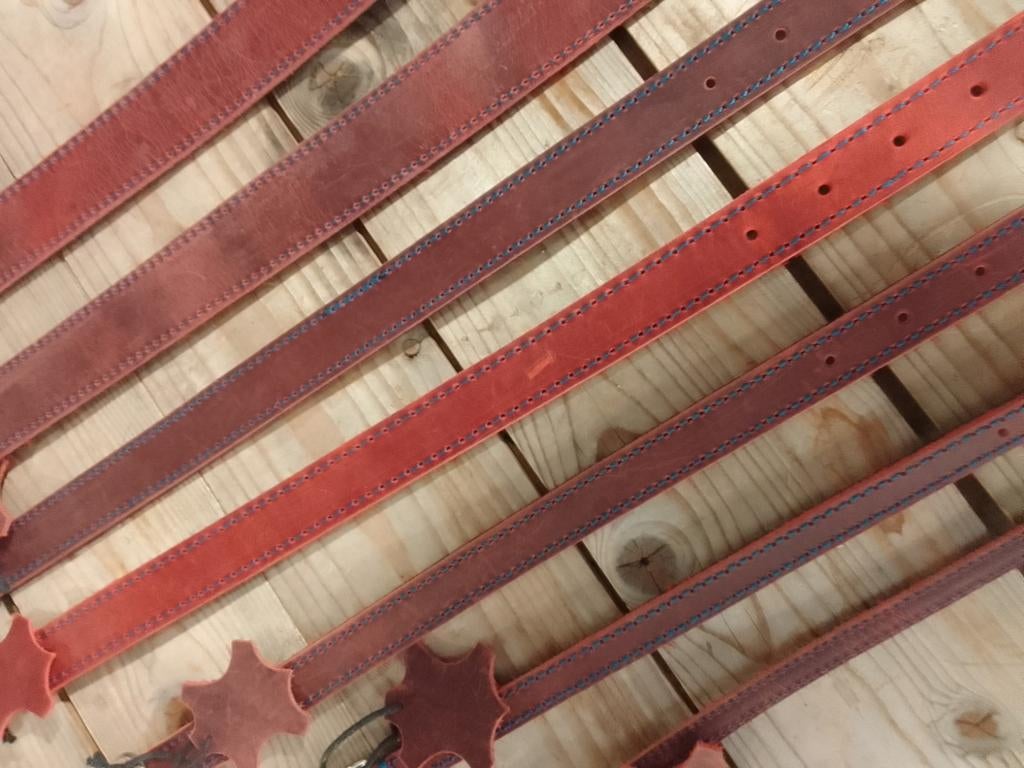 PARTIJ VAN 7X 51DN milano halsband burgundy, Nieuw, Ophalen of Verzenden, 51degrees north. be, Belgie