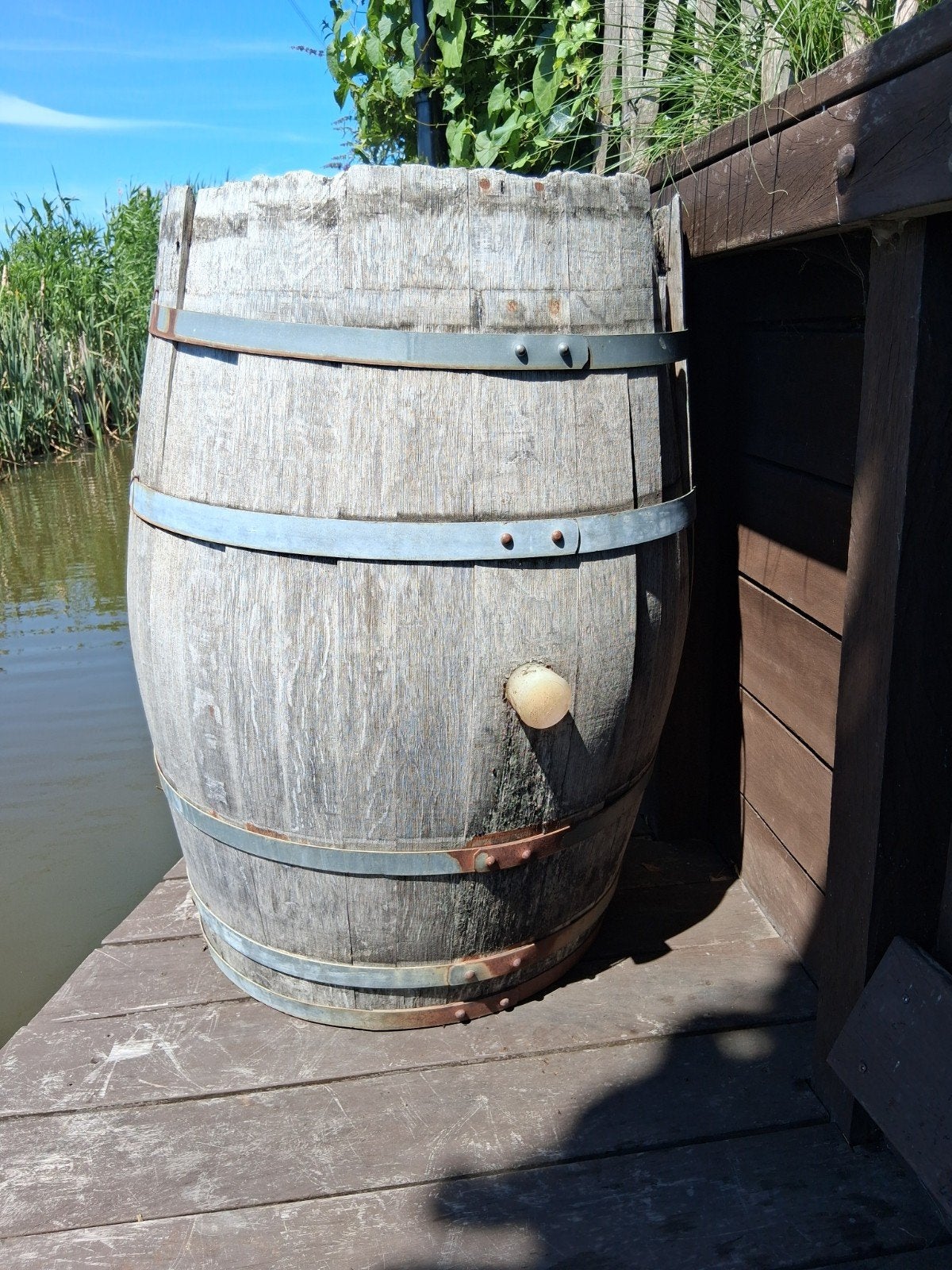 Wijnvat regenton - robuust en sfeervol, Tuin en Terras, Regentonnen, 150 liter of meer, Ophalen, Gebruikt, Hout