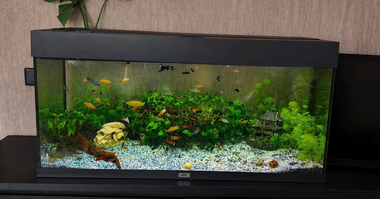 juwel Rio 180, Dieren en Toebehoren, Vissen | Aquaria en Toebehoren, Ophalen of Verzenden, Leeg aquarium