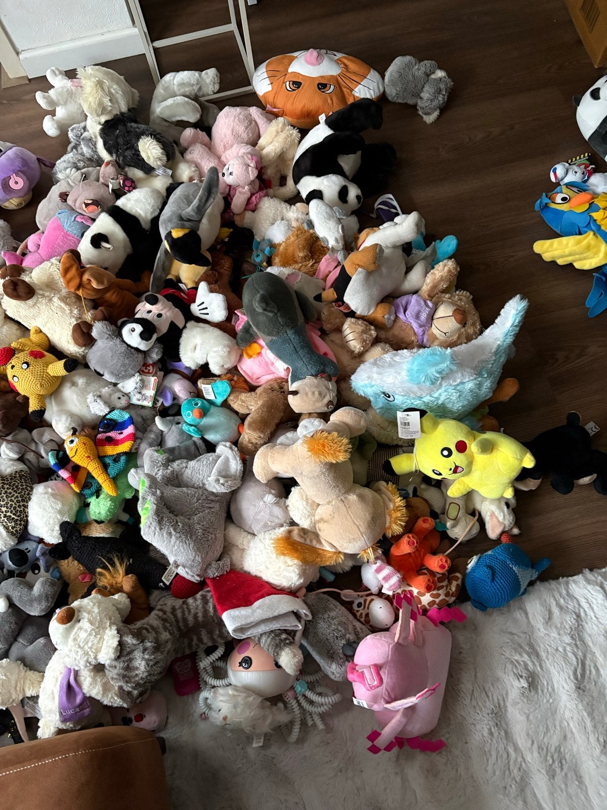 Grote partij knuffels voor goed doel of verkoop, Kinderen en Baby's, Speelgoed | Knuffels en Pluche, Ophalen, Gebruikt, Overige merken