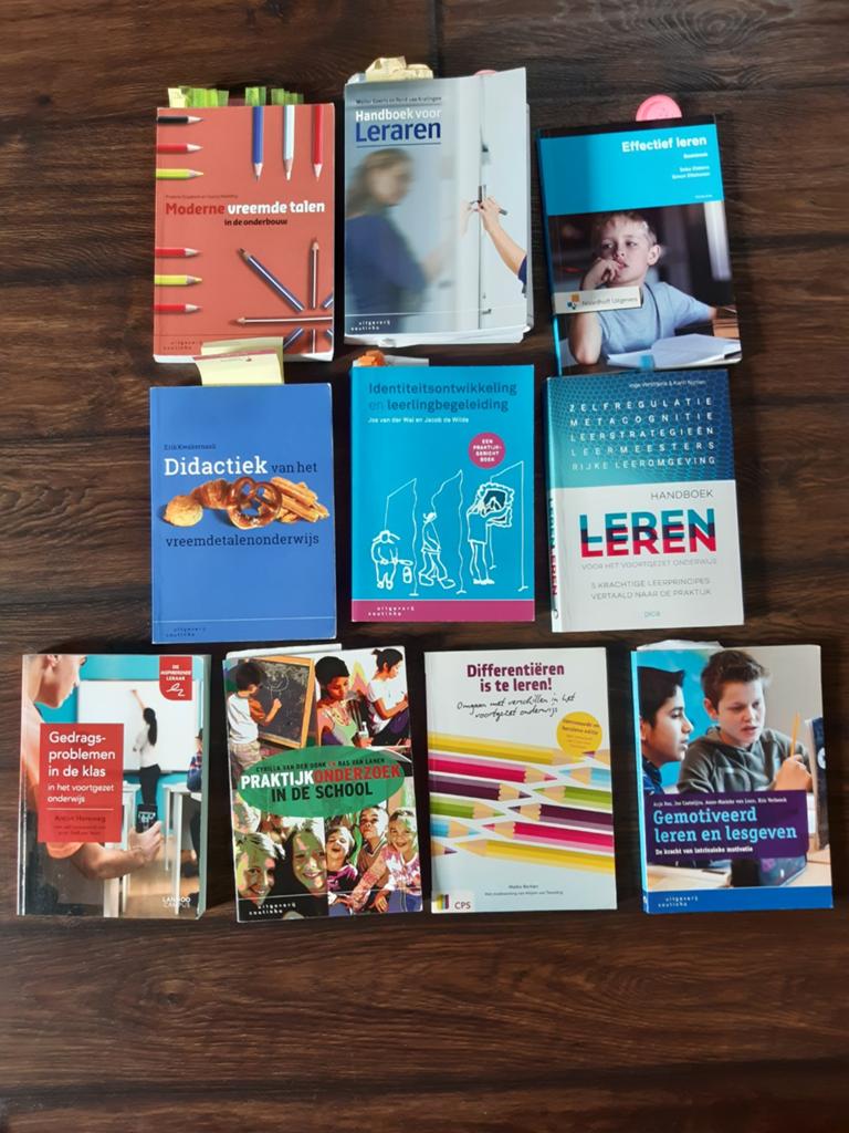 Studieboeken Leraar Frans, Ophalen of Verzenden, Zo goed als nieuw, Kunst en Cultuur