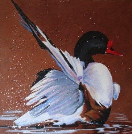 Bergeend op doek, Schilderij Bergeend eigen werk, Vogel Art, Ophalen of Verzenden, Gesigneerd, Acrylverf, Dieren