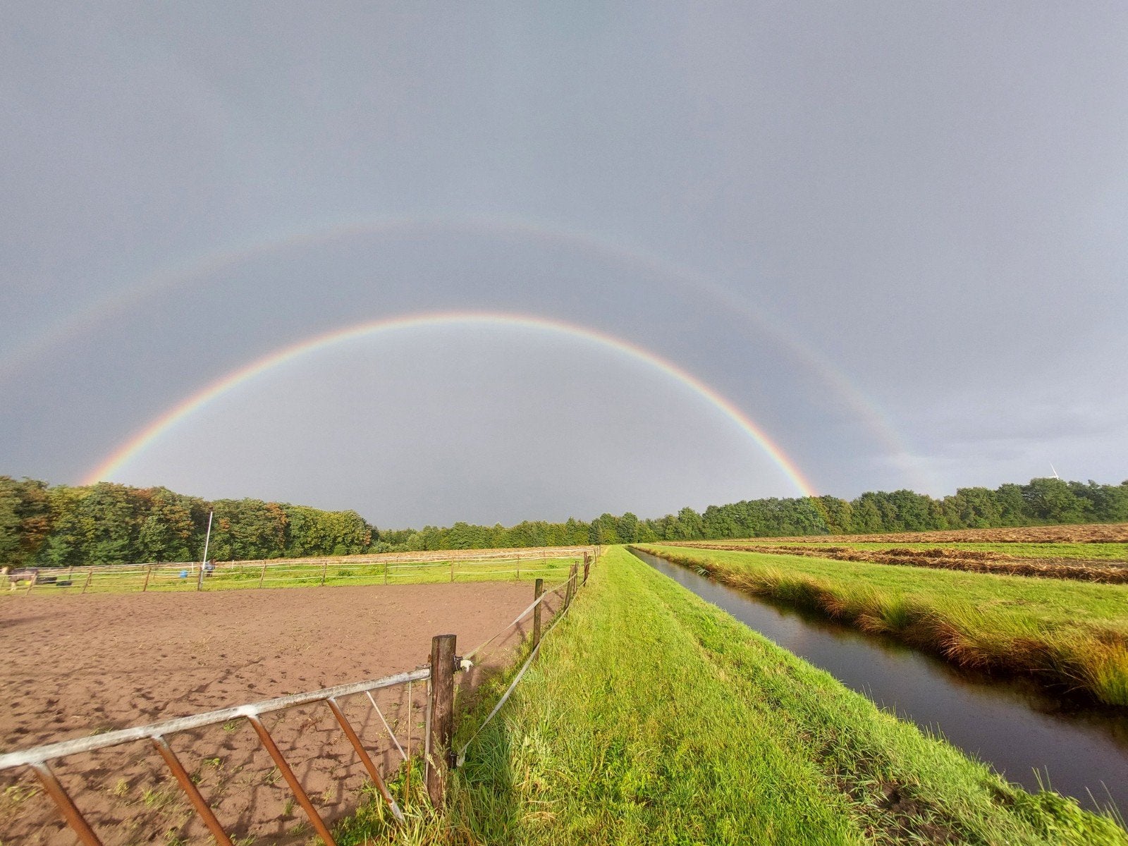 stalling vrij, Dieren en Toebehoren, Stalling en Weidegang, Stalling, Weidegang, 1 paard of pony