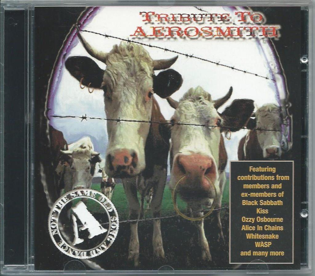 CD Tribute to Aerosmith, Ophalen of Verzenden, Gebruikt
