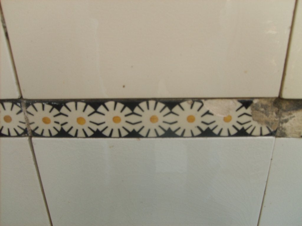 Tegelstrips madeliefjes, Ophalen of Verzenden