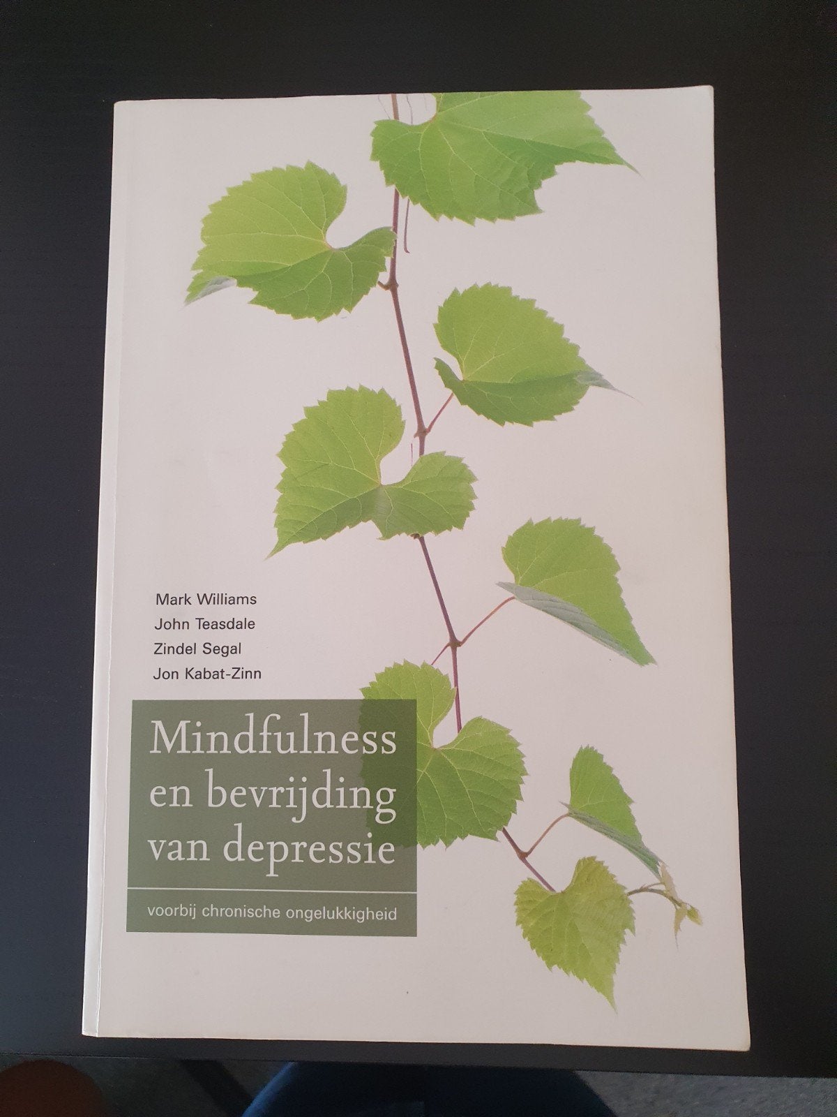 Mindfulness en bevrijding van depressie - Zo goed als nieuw, Ophalen of Verzenden, Zo goed als nieuw, Klinische psychologie, Mark Williams, John Teasdale, Zindel Segal, Jon Kabat-Zinn