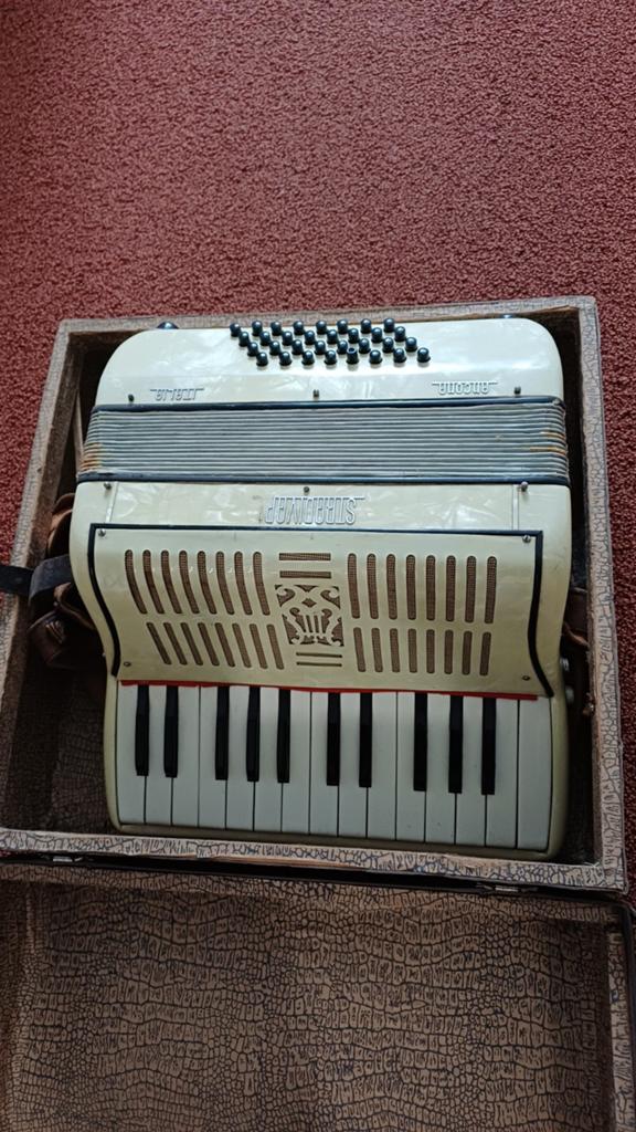Oud accordeon, Muziek en Instrumenten, Accordeons, Ophalen of Verzenden, Gebruikt, Overige merken