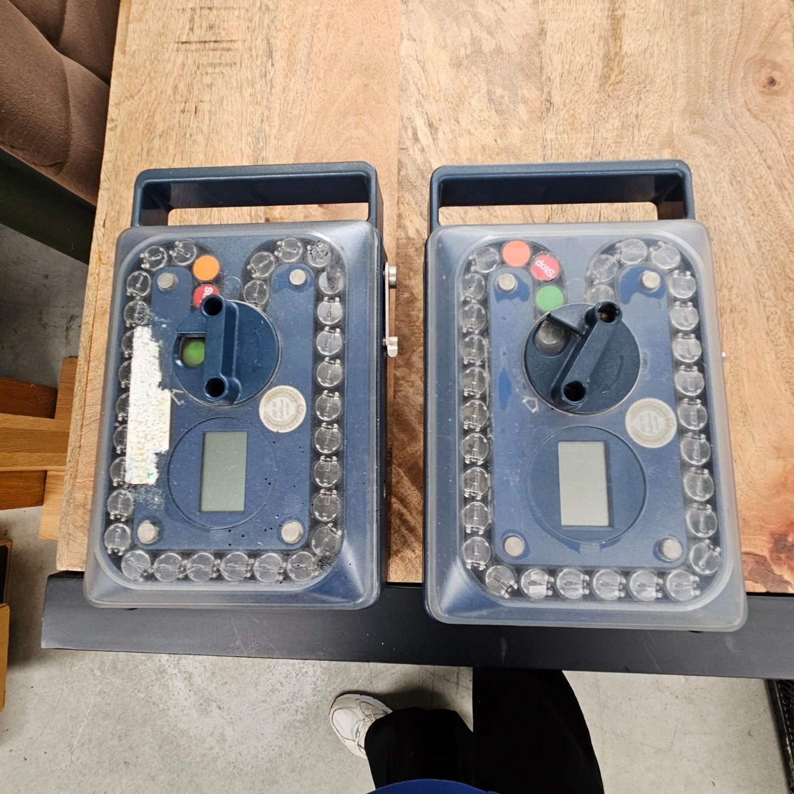 Twee Duivenklokken - Perfect voor de duivensport, Dieren en Toebehoren, Mannelijk, Postduif