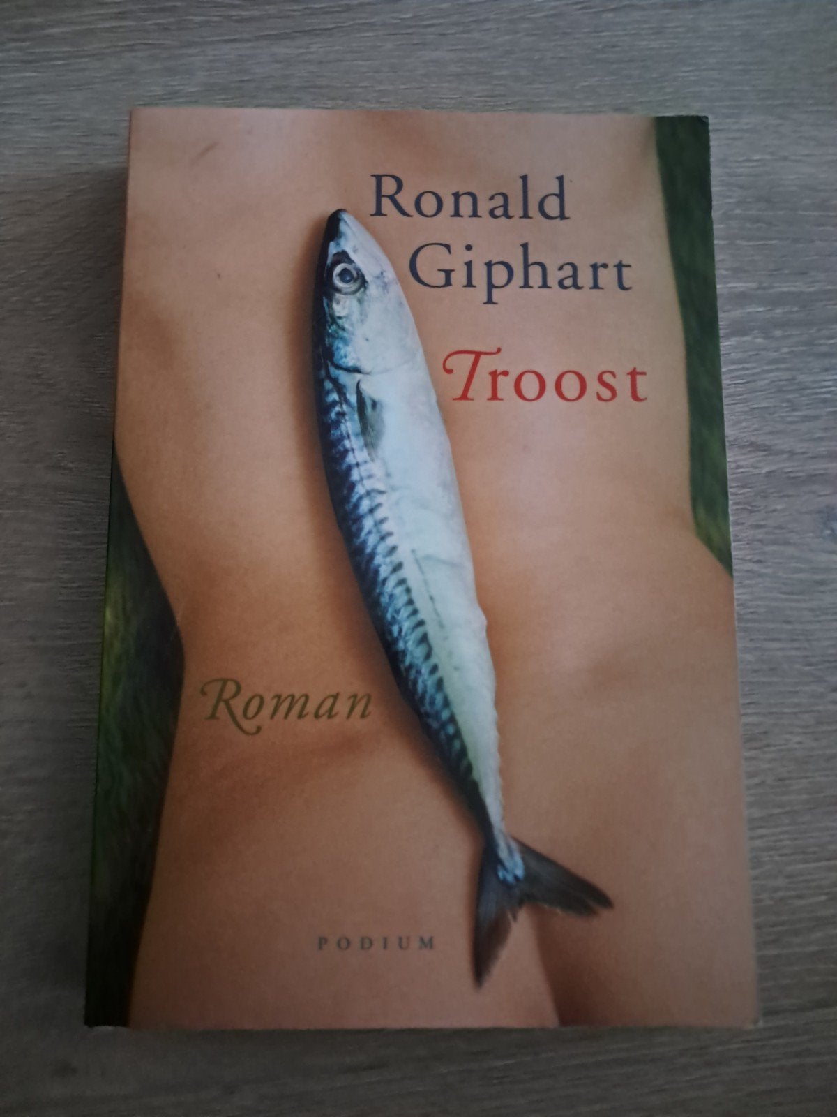 E4 Ronald Giphart - Troost, Ophalen of Verzenden, Zo goed als nieuw, Nederland, Ronald Giphart