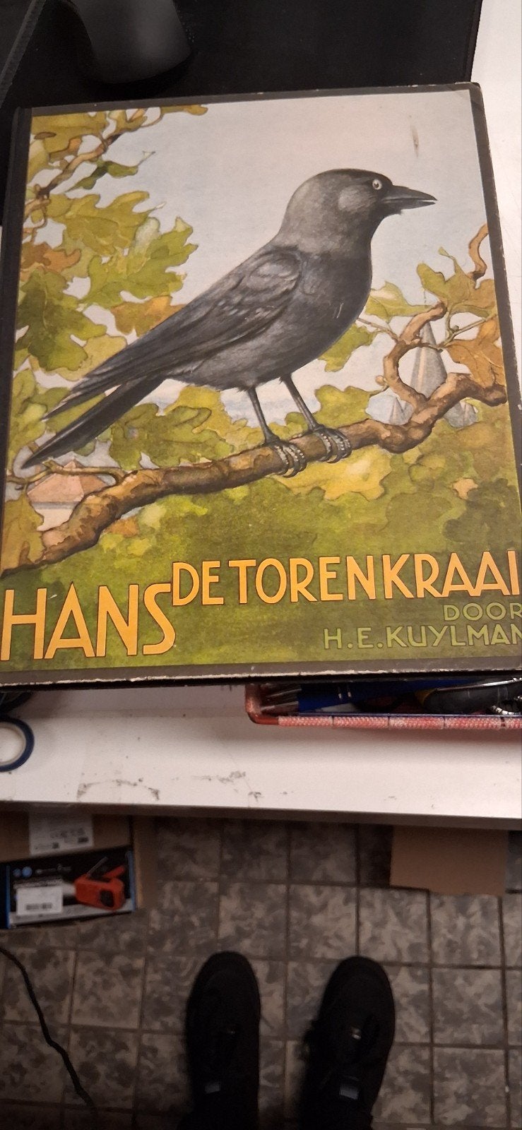 Hans de Torenkraai - H.E. Kuylman - Geïllustreerd vogelboek