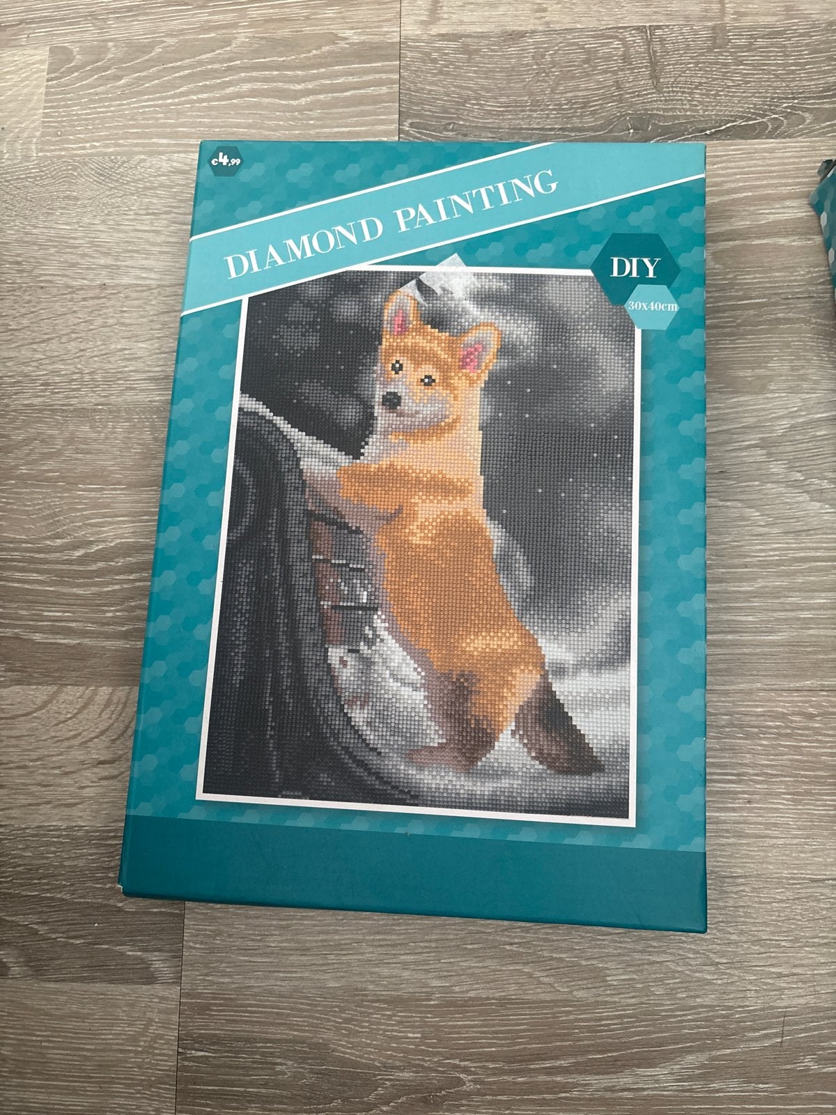 Diamond Painting DIY pakket - Schattige Corgi 30x40cm, Ophalen, Nieuw, Meerkleurig, Kunststof