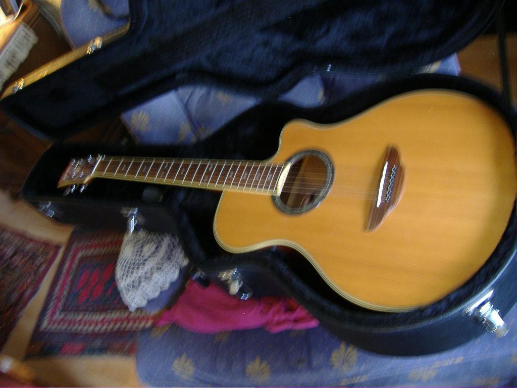 gitaren, Muziek en Instrumenten, Snaarinstrumenten | Gitaren | Akoestisch, Ophalen, Zo goed als nieuw, Western- of Steelstringgitaar