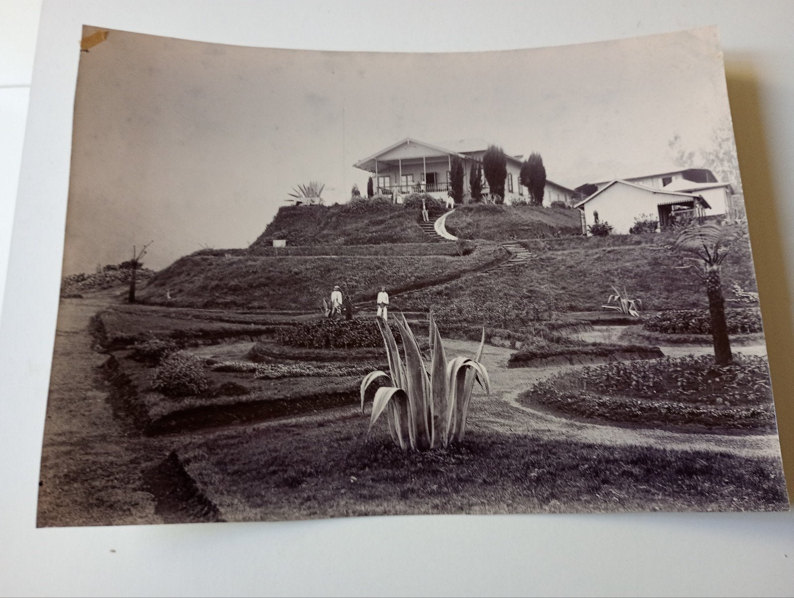 Nederlands Indië Oost Java Hotel Tosari 1898, Gebruikt, Foto, Ophalen of Verzenden, Voor 1940