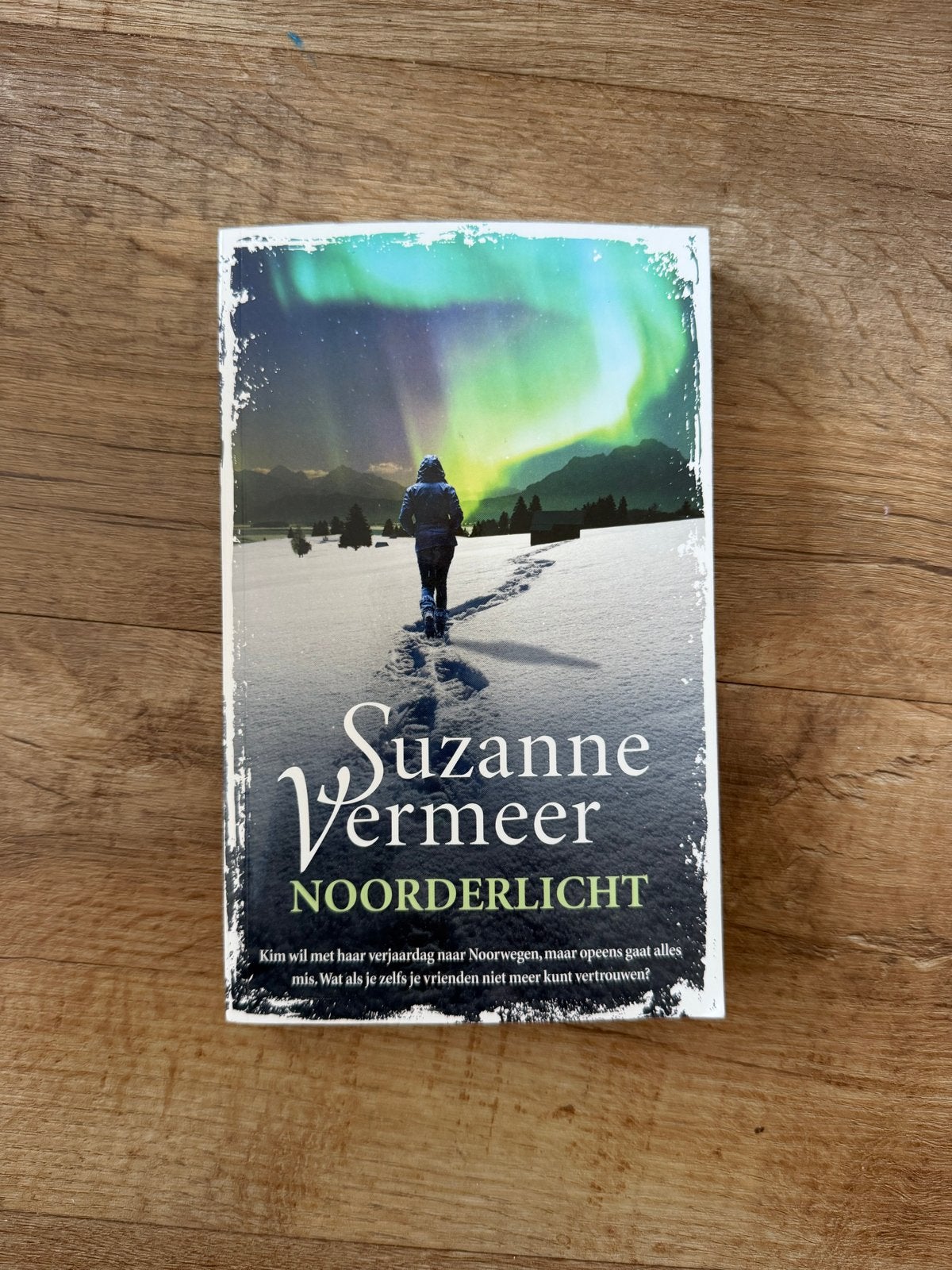 Noorderlicht - Suzanne Vermeer (Paperback), Ophalen of Verzenden, Zo goed als nieuw, Nederland