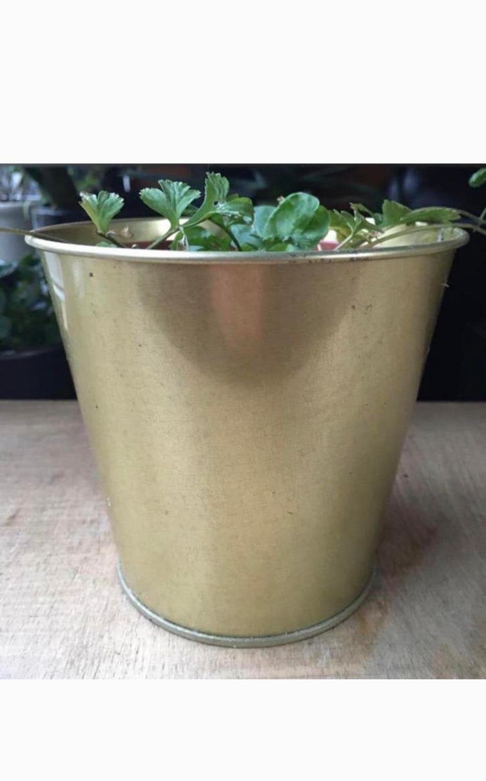 Mooie gouden bloempot HxD 12,3x13,5cm, Ophalen, Gebruikt, Rond, Binnen