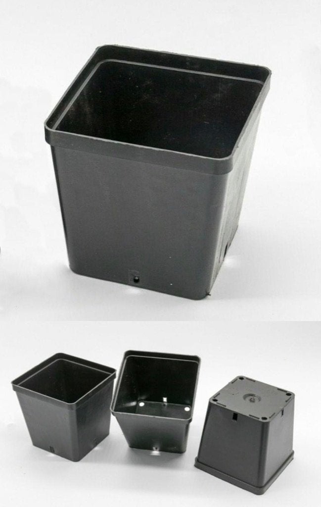 10x Stabiele en duurzame vierkante bloempotten 14x14x14cm, Tuin en Terras, Vierkant, Nieuw, Ophalen of Verzenden, Binnen