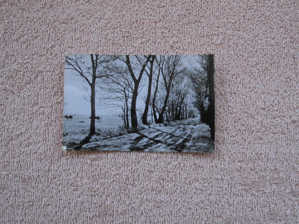 Garyp , Ate Reed. Garijp bij Burgum., Verzamelen, Ophalen of Verzenden, 1940 tot 1960, Gelopen, Friesland