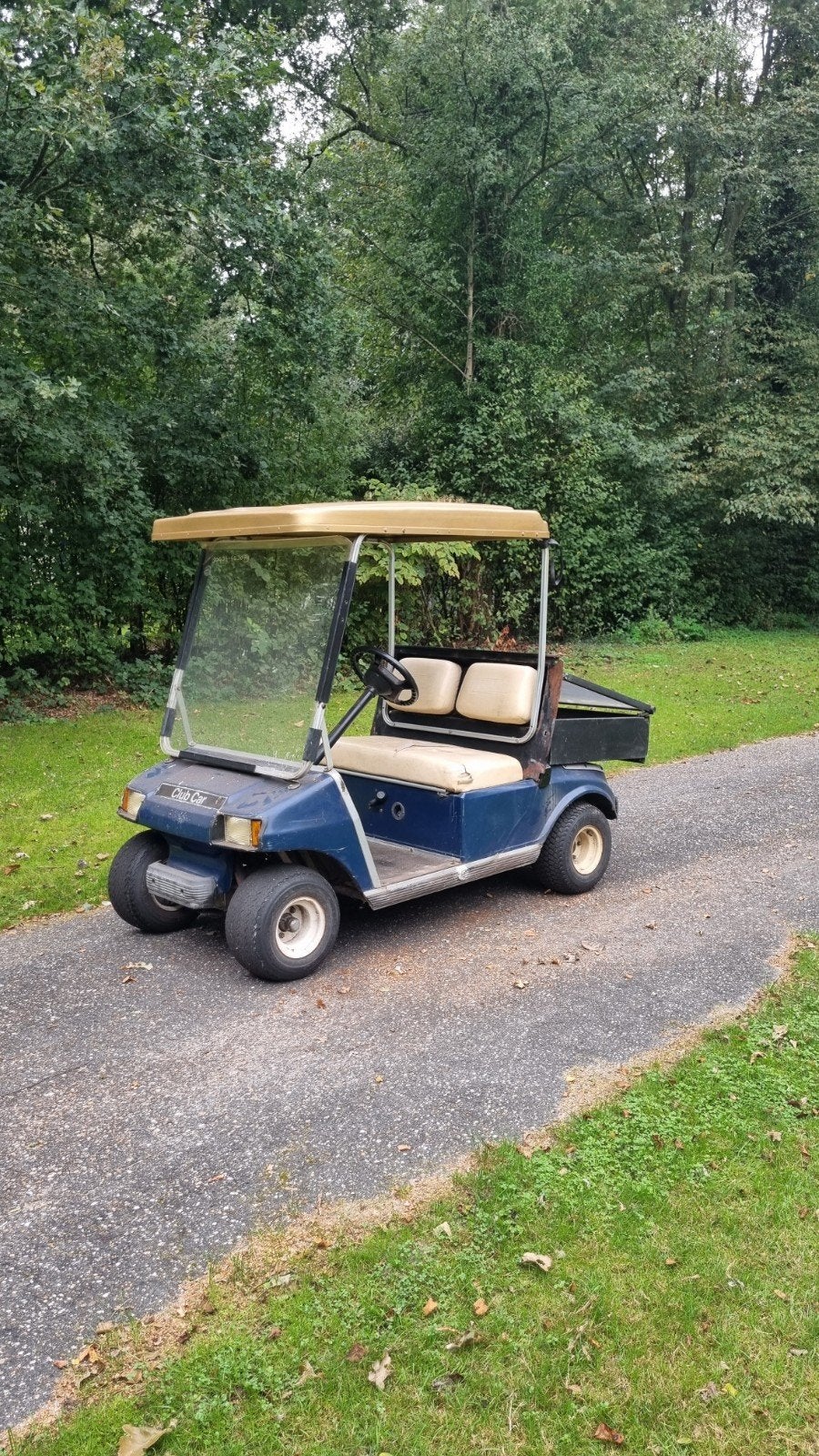 clubcar golfcar heeft liefde nodig, Ophalen, Gebruikt