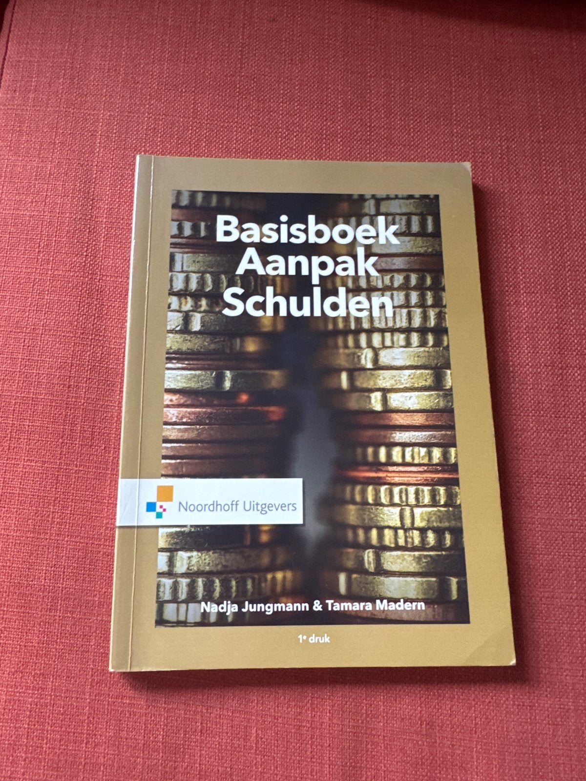 Basisboek Aanpak Schulden - Nadja Jungmann & Tamara Madern, Ophalen of Verzenden, Gelezen, Geld en Beleggen