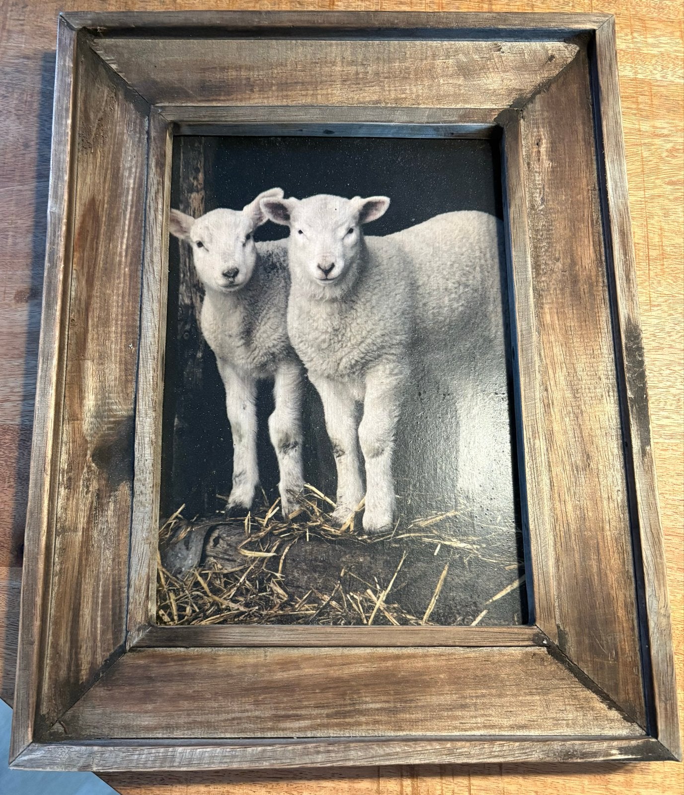 Leuke schilderijen: schapen en lammetjes, Huis en Inrichting, Ophalen, Minder dan 50 cm, Nieuw, Schilderij