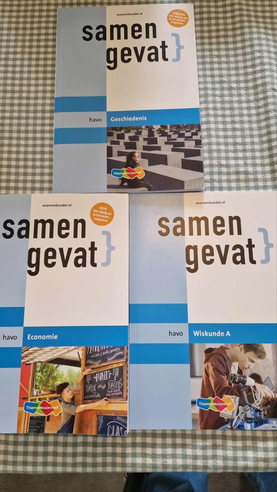Samengevat  HAVO  - ec/wsA/gs, Ophalen of Verzenden, Zo goed als nieuw, HAVO, ThiemeMeulenhoff