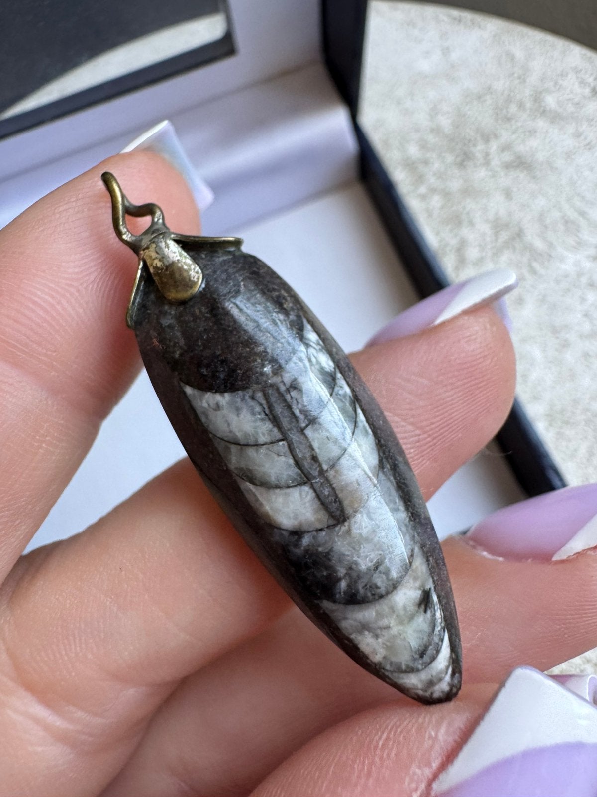 vintage Orthoceras pendant, Verzenden, Zo goed als nieuw, Zilver, Overige materialen