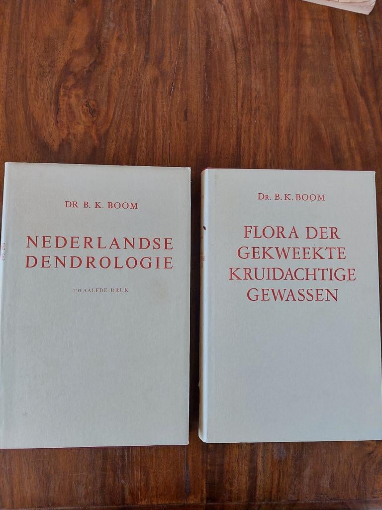 DR B.K Boom, Boeken, Ophalen of Verzenden, Zo goed als nieuw, Overige uitgevers, Nederlands