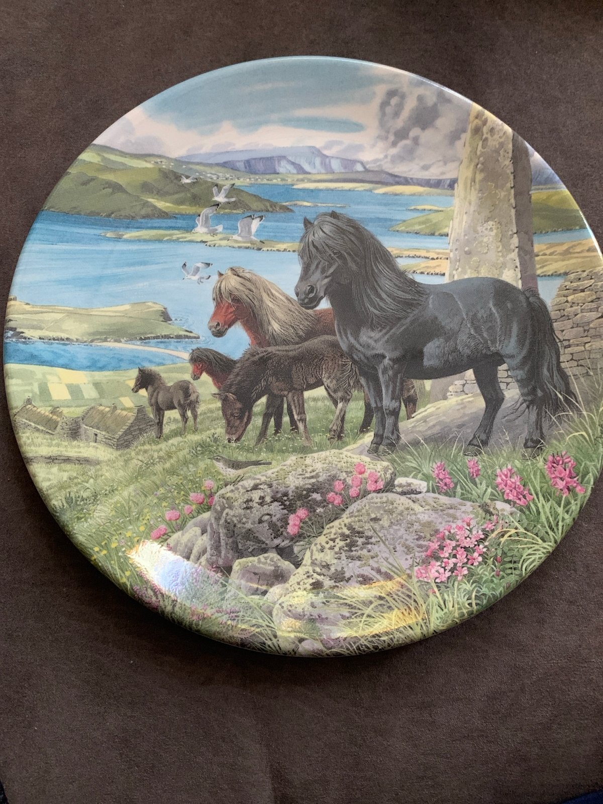 Davenport Limited Edition Shetland Pony Bord 1990, Ophalen of Verzenden