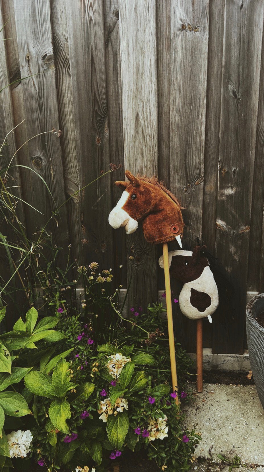 Stokpaarden te koop 7,50 per stuk, Ophalen, Gebruikt
