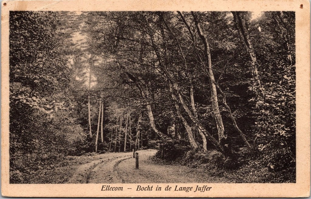 Ellecom - 12 antieke ansichtkaarten, Verzenden, Voor 1920, Gelopen, Gelderland