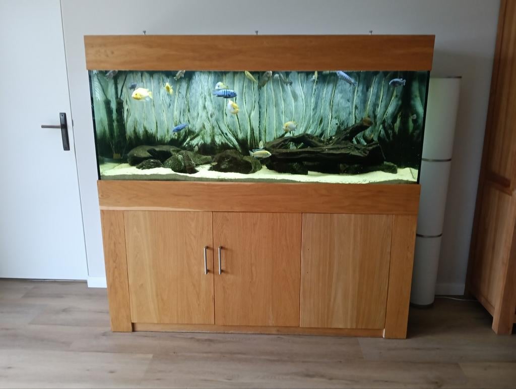 Aquarium 160 cm breed, Dieren en Toebehoren, Vissen | Aquaria en Toebehoren, Ophalen, Inclusief toebehoren, Gebruikt, Gevuld zoetwateraquarium