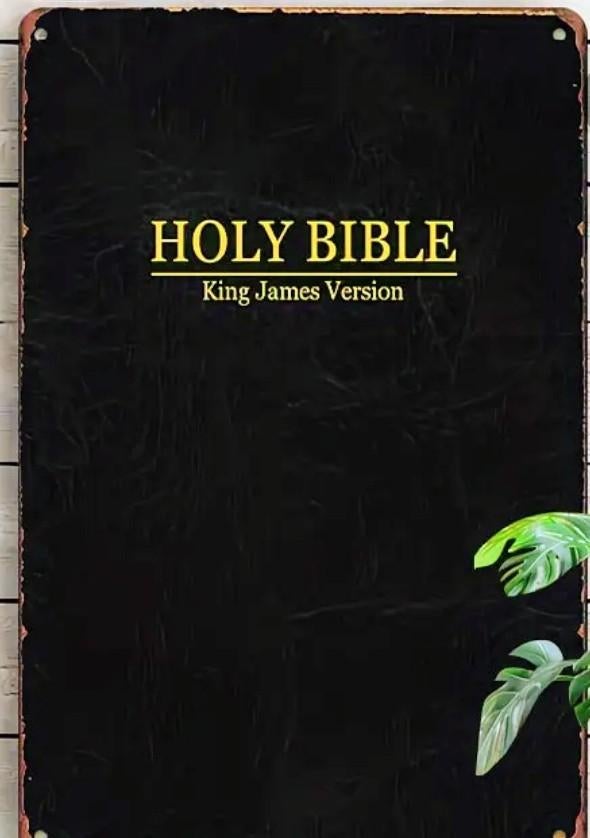 Bijbel Engelstalig nieuw met gouden letters, Boeken, Godsdienst en Theologie, Ophalen