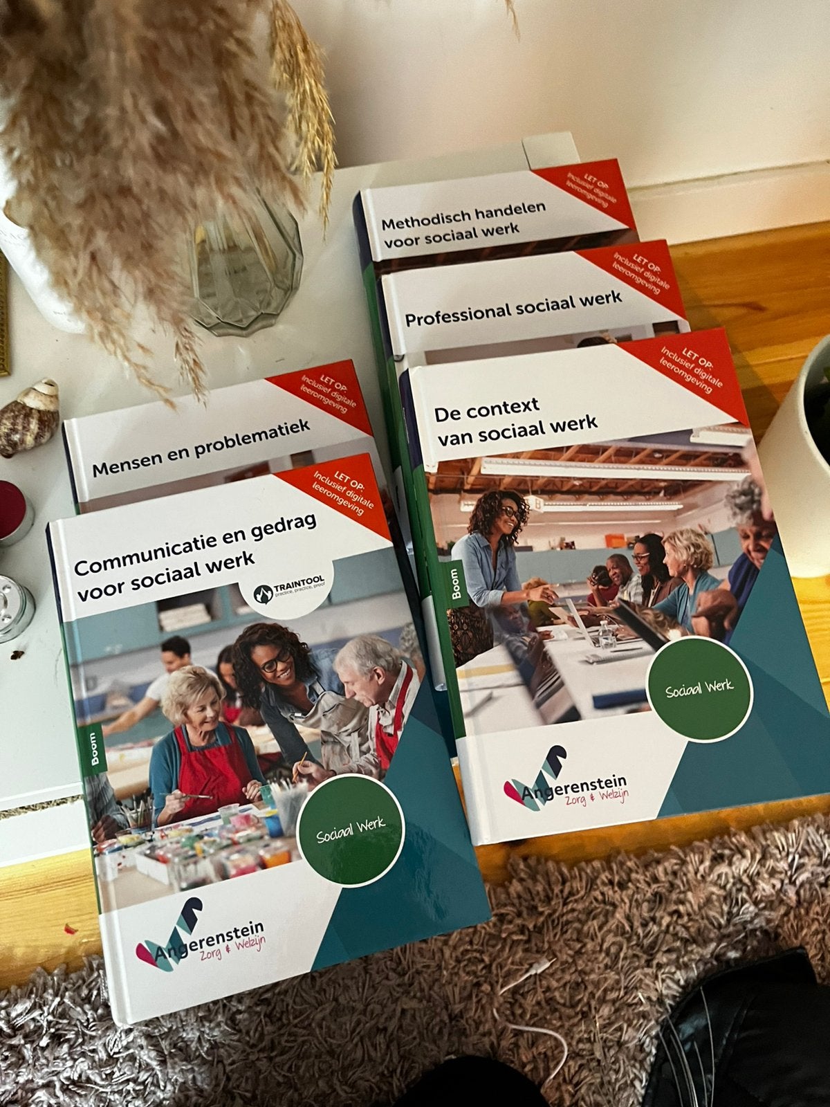 Sociaal Werk L1 schoolboeken, Boeken, Ophalen of Verzenden, Nieuw, Overige niveaus