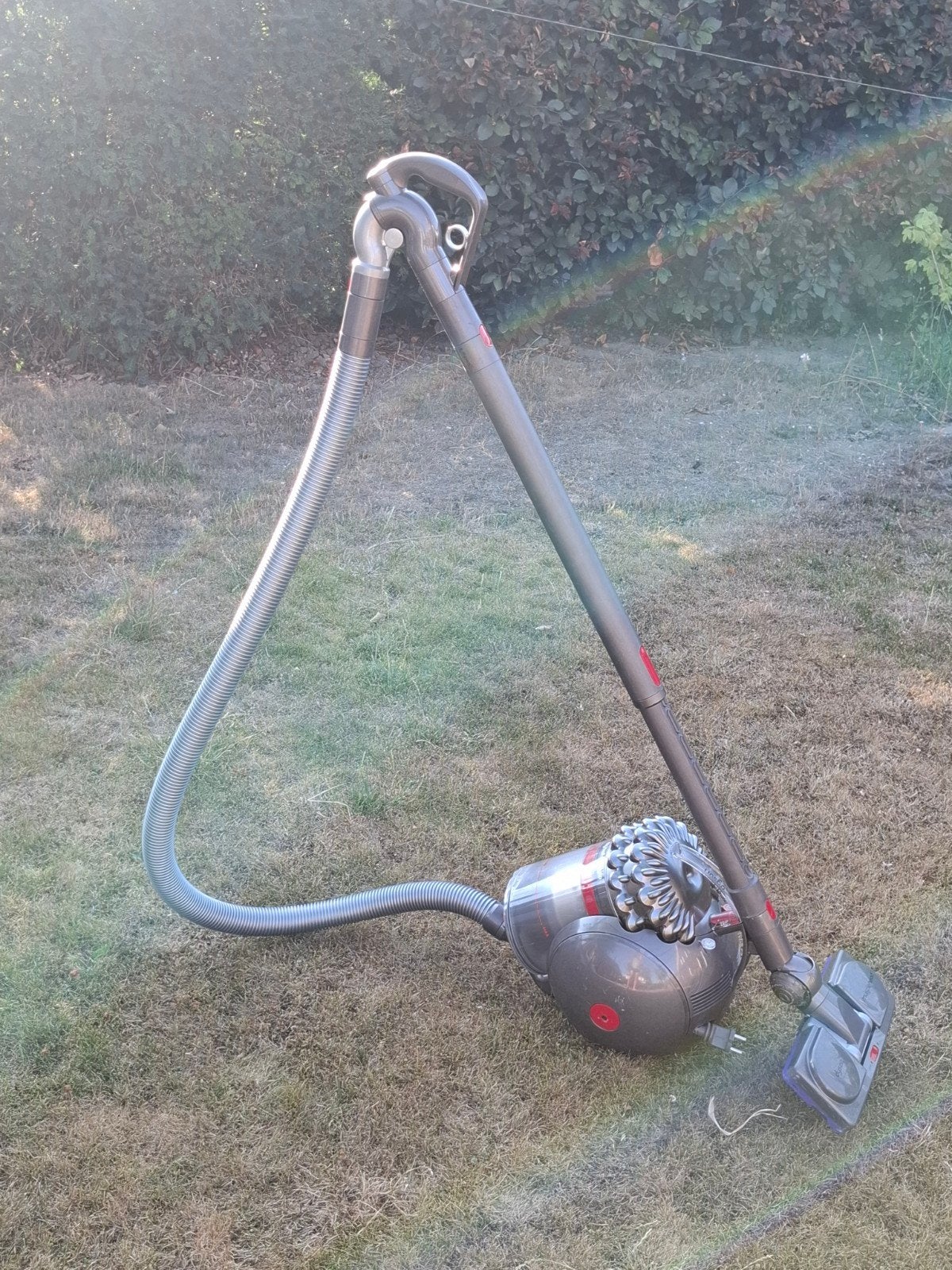 Dyson Cinetic Big Ball Absolute stofzuiger, Ophalen, Gebruikt, Geschikt voor harde vloeren, Dyson